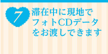7 ؍ݒɌnŃtHgCDf[^nł܂