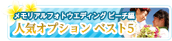 AtHgEGfBOr[`ҐlCIvVxXg5