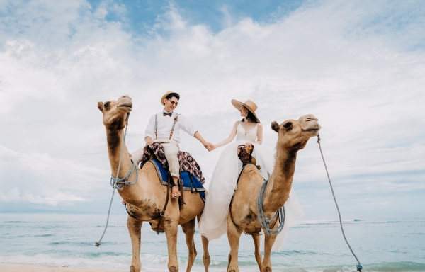 �L���������C�h